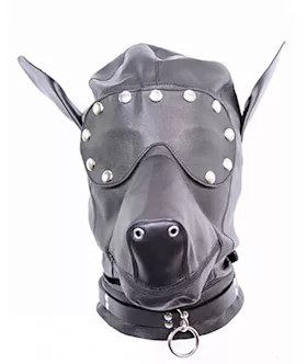 Who Let The Dogs Out