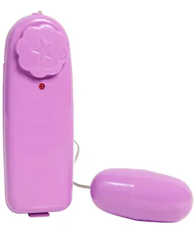 Egg Vibrator With Remote