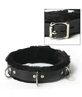 Strict Leather Narrow Fur Lined Locking Collar