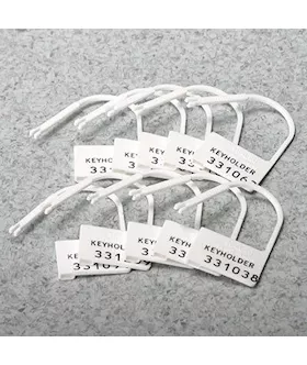 10 Lock Pack For Chastity Devices