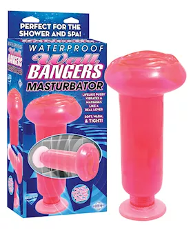 W P Wallbanger Masturbator