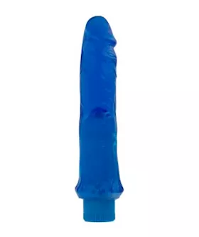 The 8-inch Jelly Dildo Vibrator