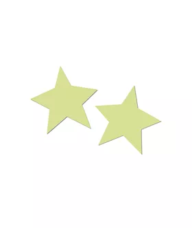Glow In The Dark Vibrating Crotchless Panty And Pasties Set Bitch