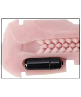 Fleshlight Bullets