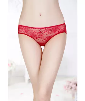 Butterfly Lace Panties