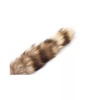 Foxy Animal Butt Plug With Tail