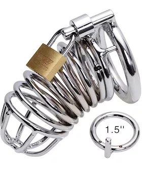 Locking Metal Cock Cage