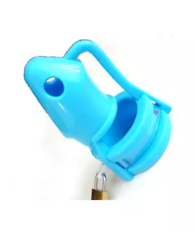 Lock It Down Male Chastity Device