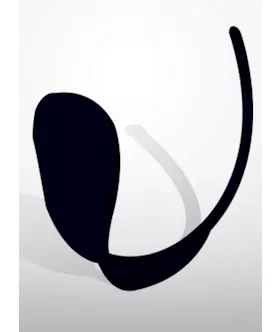 C-string Panty
