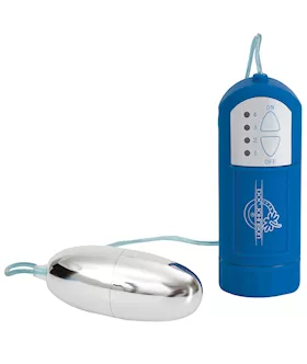 Waterproof Bullet And Remote