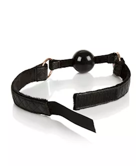 Entice Ball Gag
