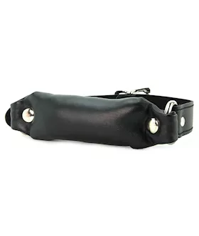 Switch Out Silencer