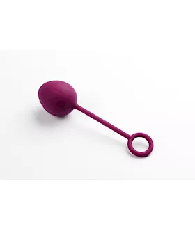 Nova Luxury Kegal Ball Kit
