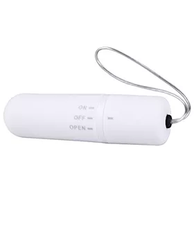 My Secret Screaming O Remote Control Panty Vibe