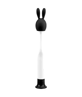 Pop Rabbit