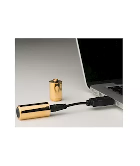 Crave Bullet 24k Gold