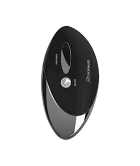 Womanizer Pro