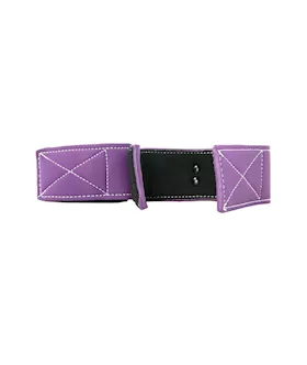 Lust Bondage Ankle Cuff