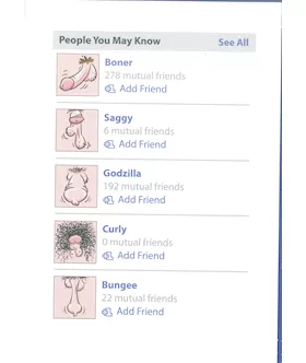 Since You Like Facebook