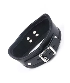 Curved Posture Collar