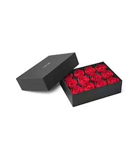 Lelo Open Secret Gift Set