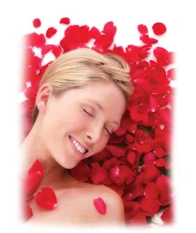 Bed Of Roses