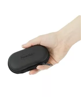 Essential Bullet