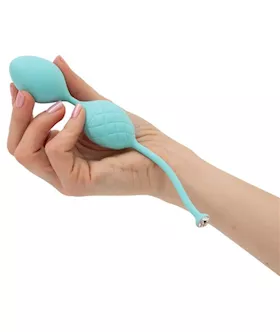 Pillow Talk Frisky Duo Kegel And Pelvic Trainer Balls