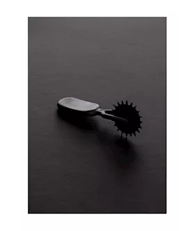 Plastic Small Pinwheel