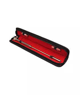 Vibrating Urethral Sound