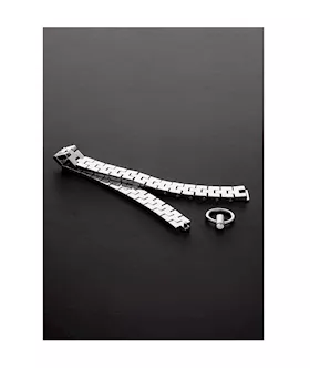 Watchband Collar With Lock