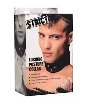 Locking Posture Collar