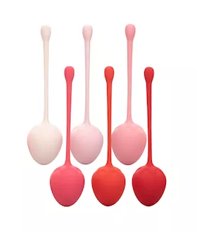 6 Piece Kegel Training Set