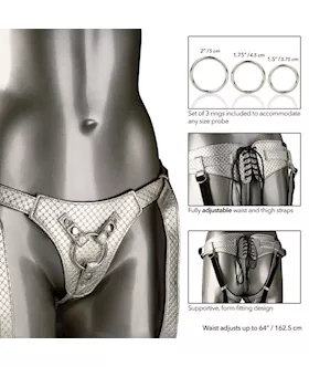 The Regal Queen Premium Harness