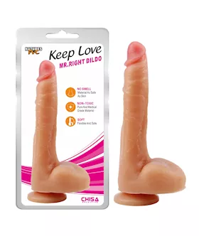 Mr. Right Dildo - 10 Inch
