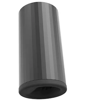 F1s Prototype