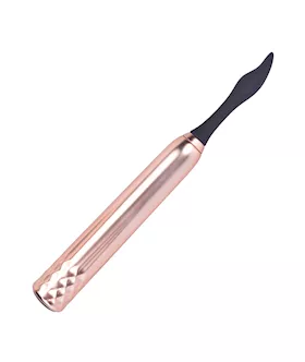 Vibrator With Interchangeable Heads 
