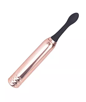 Vibrator With Interchangeable Heads 