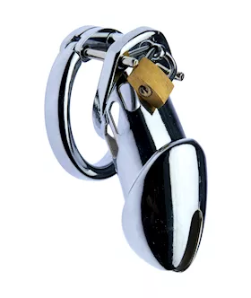Kink Range Shield Chastity Cage