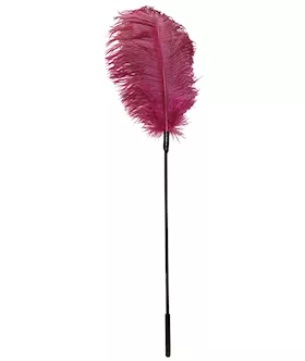 Pink Feather