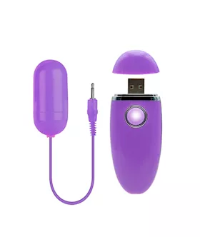 Persist Vibrating Bullet
