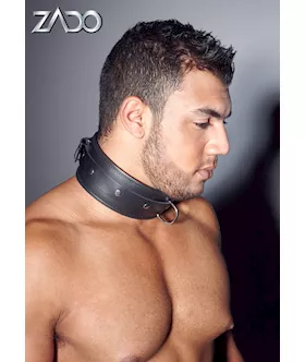 Leather Collar 