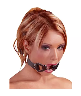 Bad Kitty Open Wide Gag