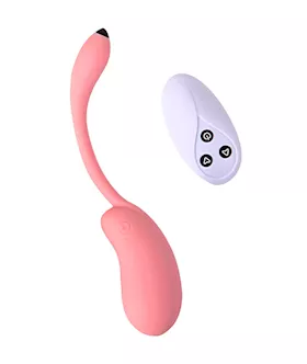 Remote Controlled Dolphin Love Egg