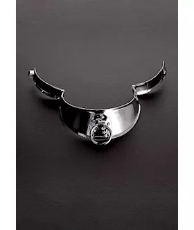 Locking Men's Collar With Ring