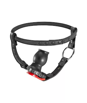 Hole Harness With Plug