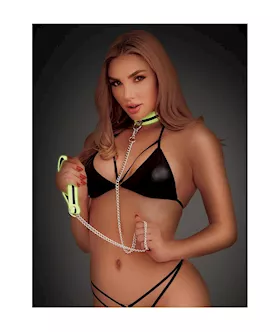 Glow in the Dark Collar and Leash