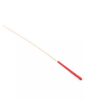 Disciple Cane