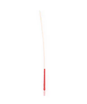 Disciple Cane