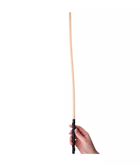 Sturdy Discipline Cane